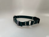 Forest Green dog collar with silver hardware on a white background