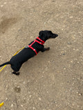 Small/Puppy BioThane® Harness
