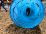 Recreational (AKA Just for FUN) Agility Class
