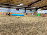 Recreational (AKA Just for FUN) Agility Class