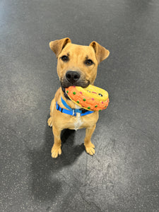 Manners Class for Blue