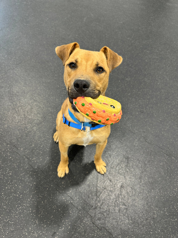 Manners Class for Blue
