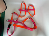 BioThane® Dog Harness – Large, Waterproof, Adjustable
