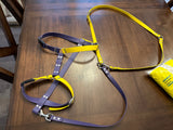 A yellow and purple leather harness with matching leash laid out on a dark wooden table, with a small yellow bag visible in the corner.