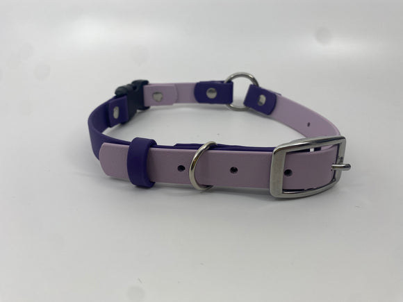Medium best sale dog collar